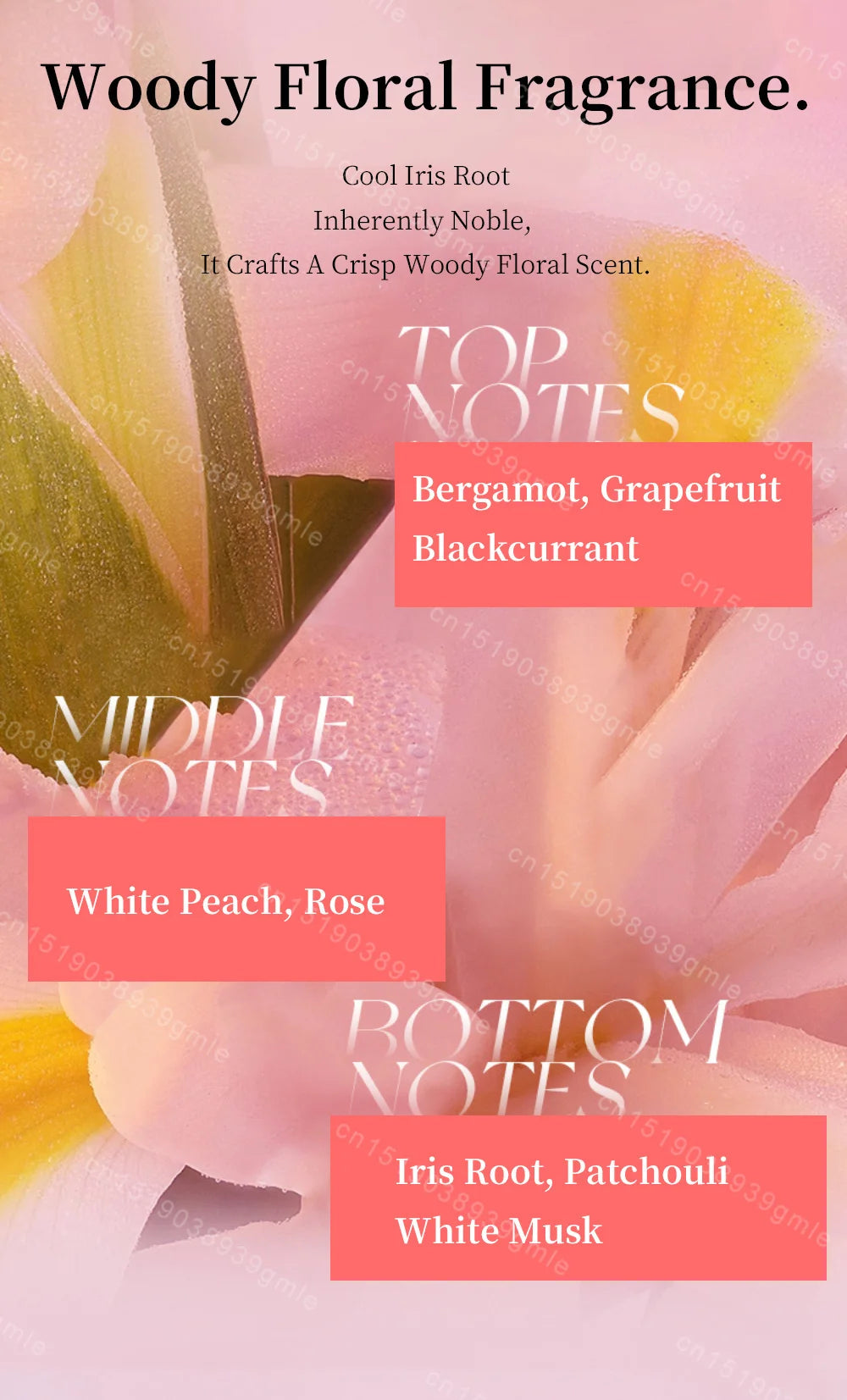 Luxury 100ml Unisex Perfume | Long-Lasting Sexy & Alluring Fragrance for Men & Women