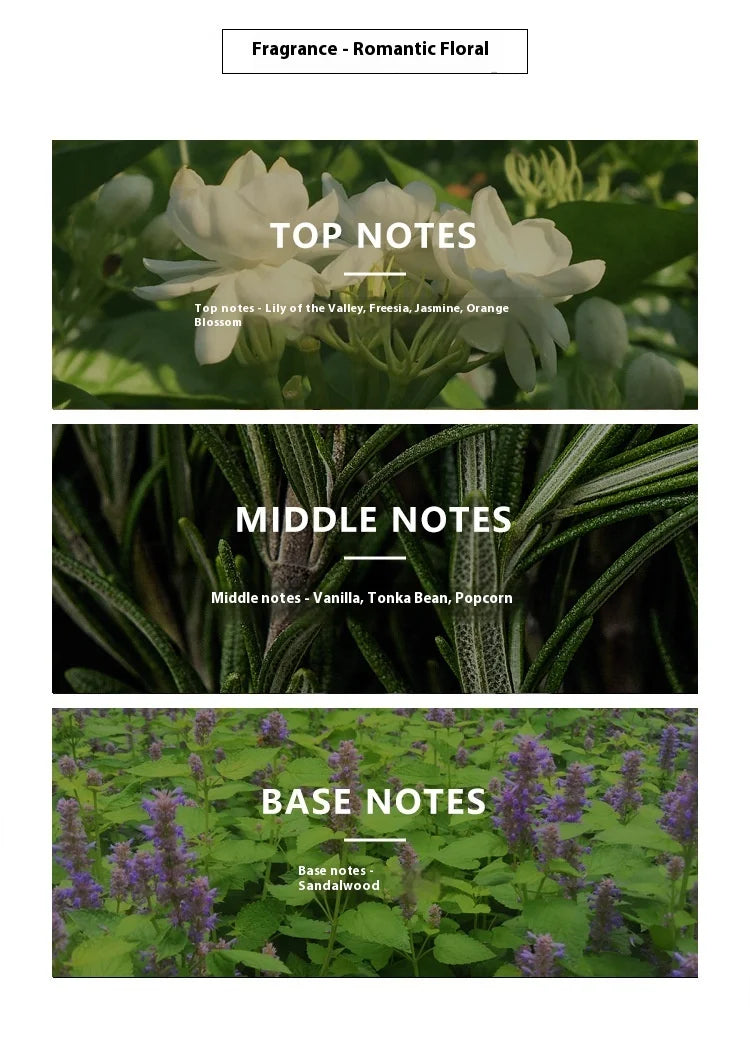 Luxury Musk Perfume for Women | Long-Lasting Pheromone Spray with Jasmine & Fruity Notes – Romantic Seductive Scent