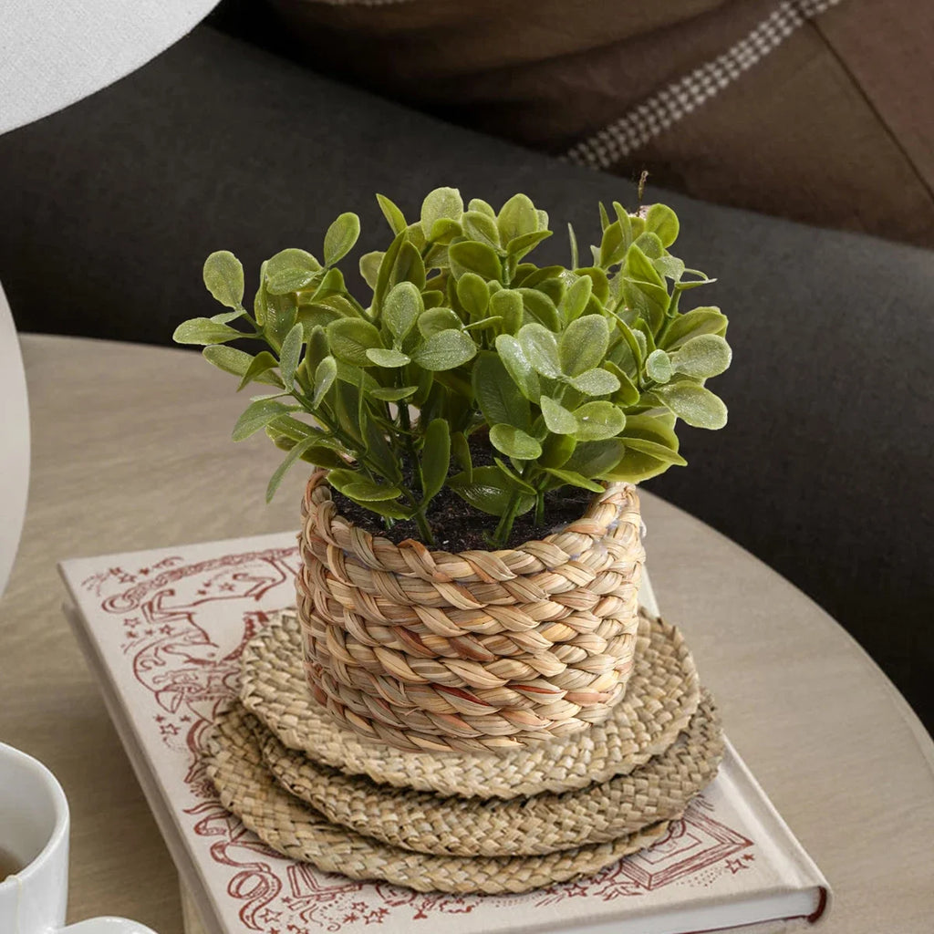 3pcs Green Artificial Plants Grass Woven Small Potted Plants Home Decoration home decor  home decoration  plants