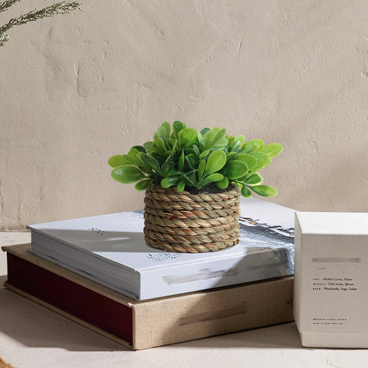 3pcs Green Artificial Plants Grass Woven Small Potted Plants Home Decoration home decor  home decoration  plants