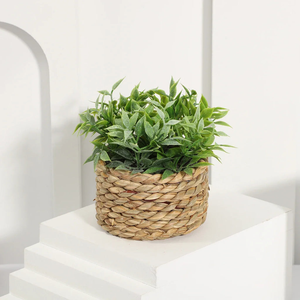 3pcs Green Artificial Plants Grass Woven Small Potted Plants Home Decoration home decor  home decoration  plants