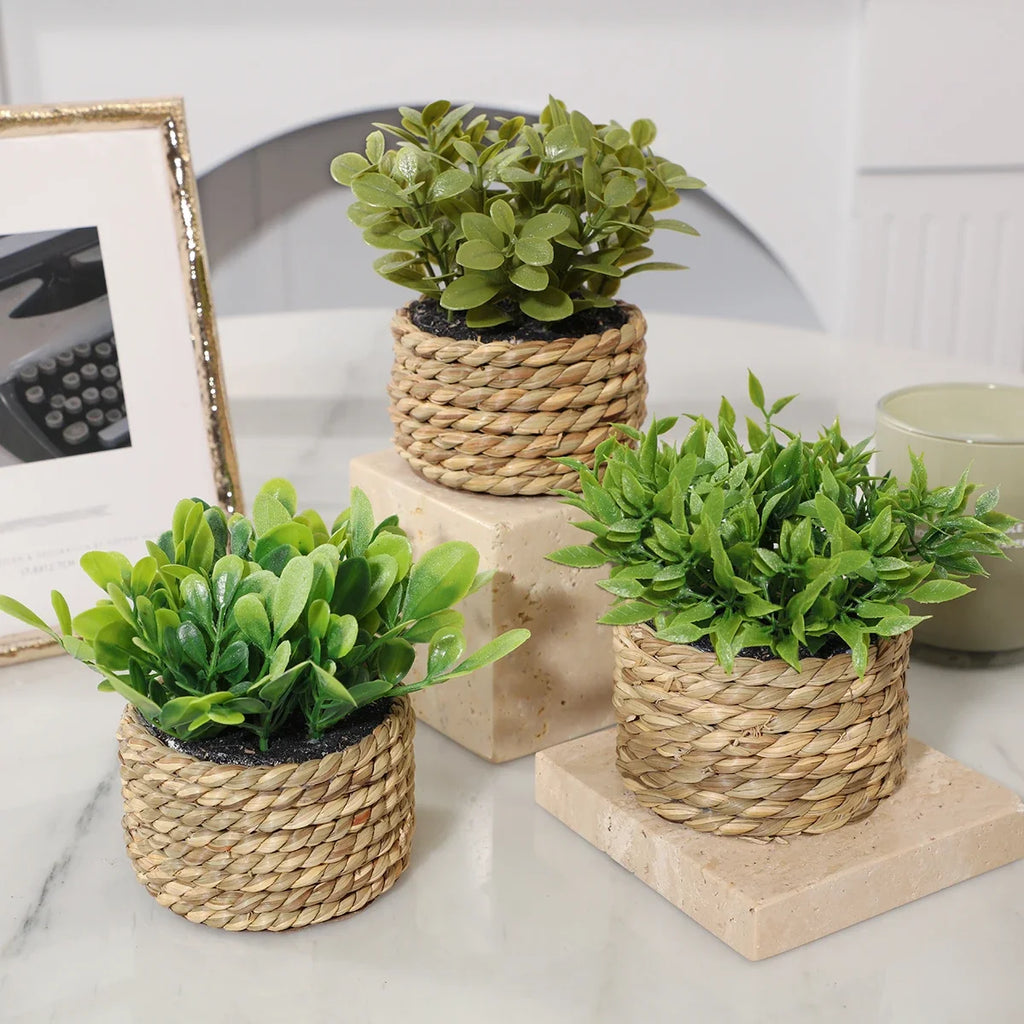 3pcs Green Artificial Plants Grass Woven Small Potted Plants Home Decoration home decor  home decoration  plants