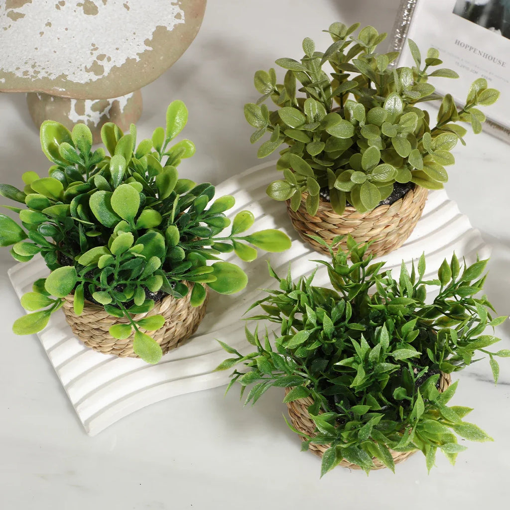 3pcs Green Artificial Plants Grass Woven Small Potted Plants Home Decoration home decor  home decoration  plants